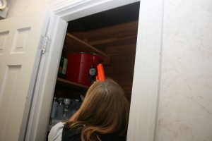 pictures 069